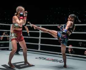 MMA Session In Delhi