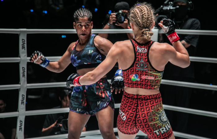 Mixed Martial Art (MMA)