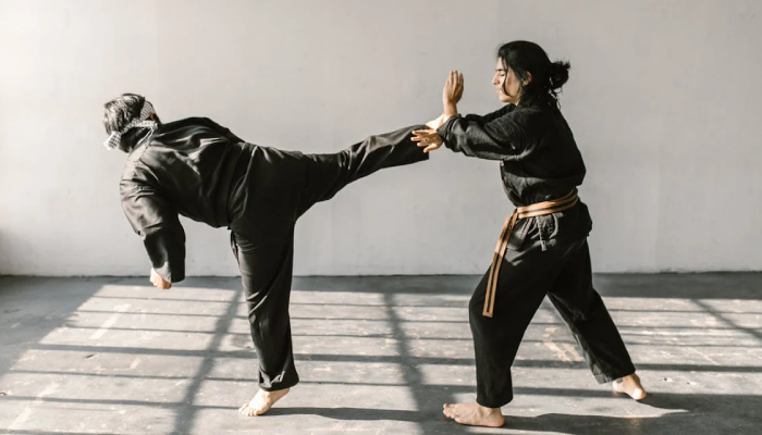 Martial Arts classes in Sultanpuri
